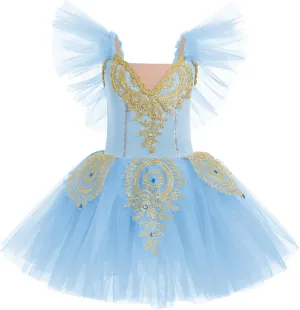AFAVOM Ballet Leotards for Girls Ballerina Performance Swan Lake Costumes Embroidery Tulle Camisole Skirted Leotard Dancewear