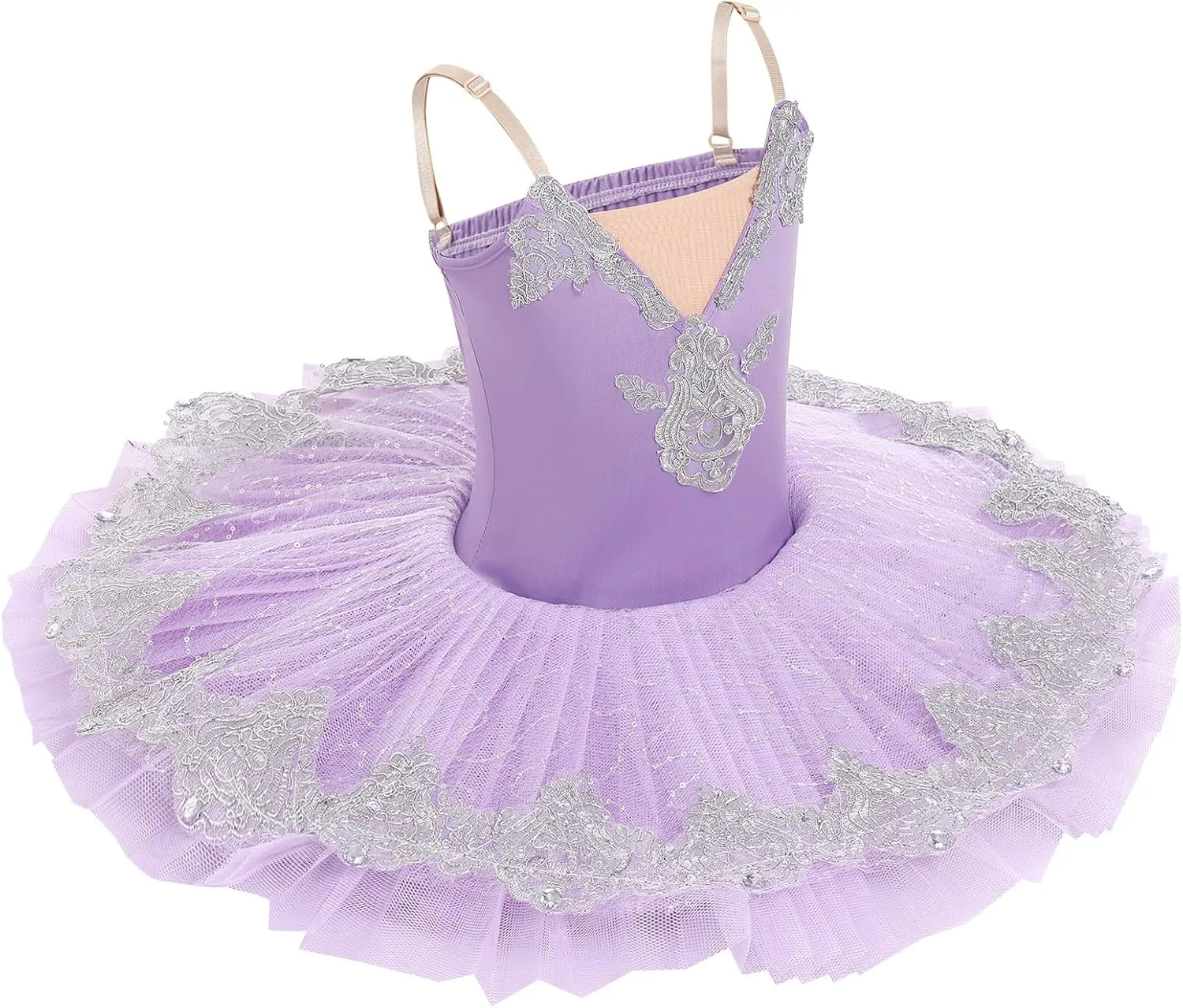 AFAVOM Girls Camisole Skirted Leotard Swan Lake Ballet Dance Outfit Embroidery Tutu Ballerina Princess Dress for Performance