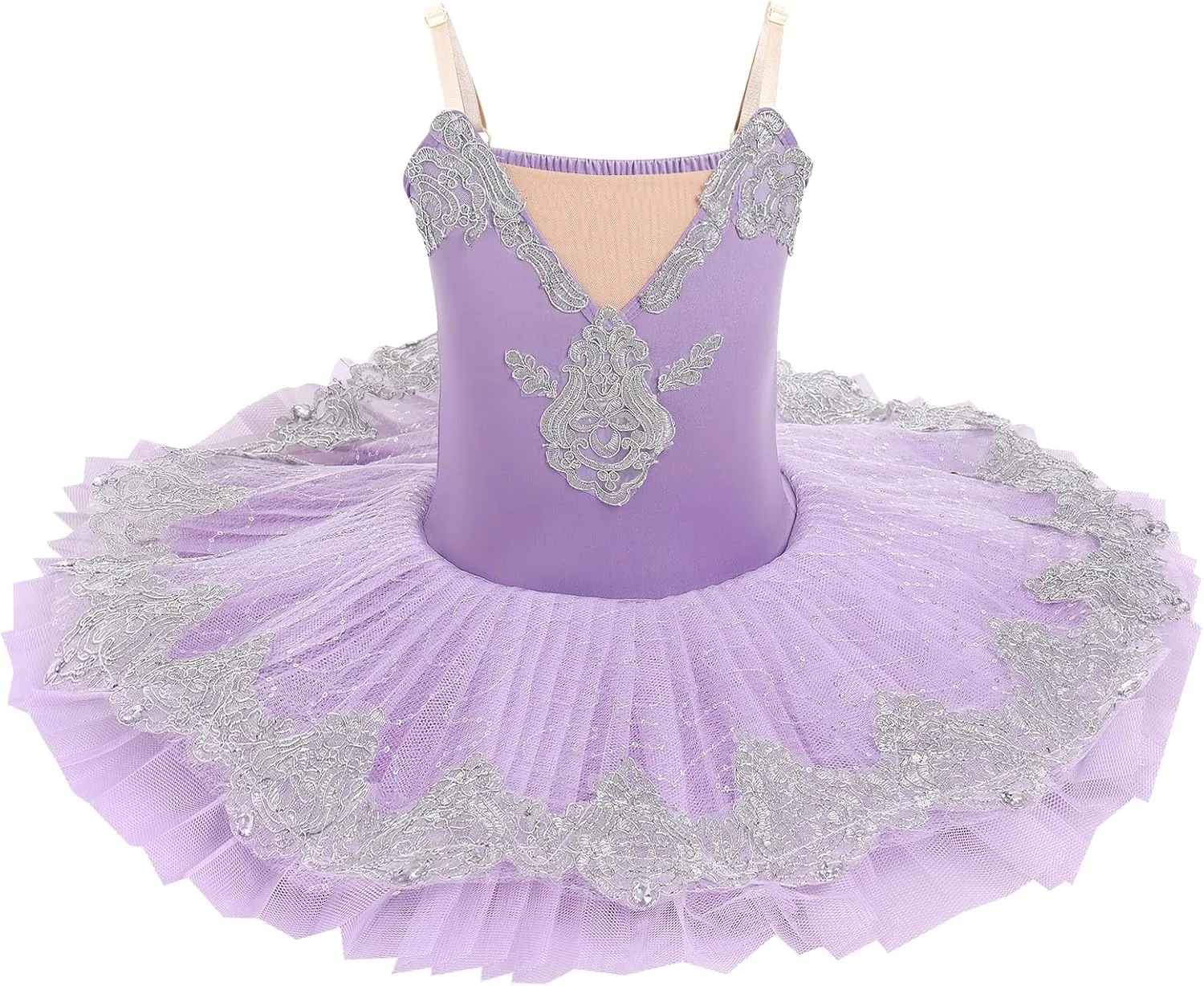 AFAVOM Girls Camisole Skirted Leotard Swan Lake Ballet Dance Outfit Embroidery Tutu Ballerina Princess Dress for Performance