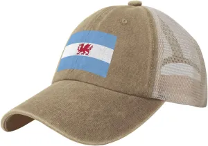 Flag of The Welsh Colony in Patagonia Baseball Cap Women Men Mesh Back Denim Hat Vintage Trucker Hats Dad Caps