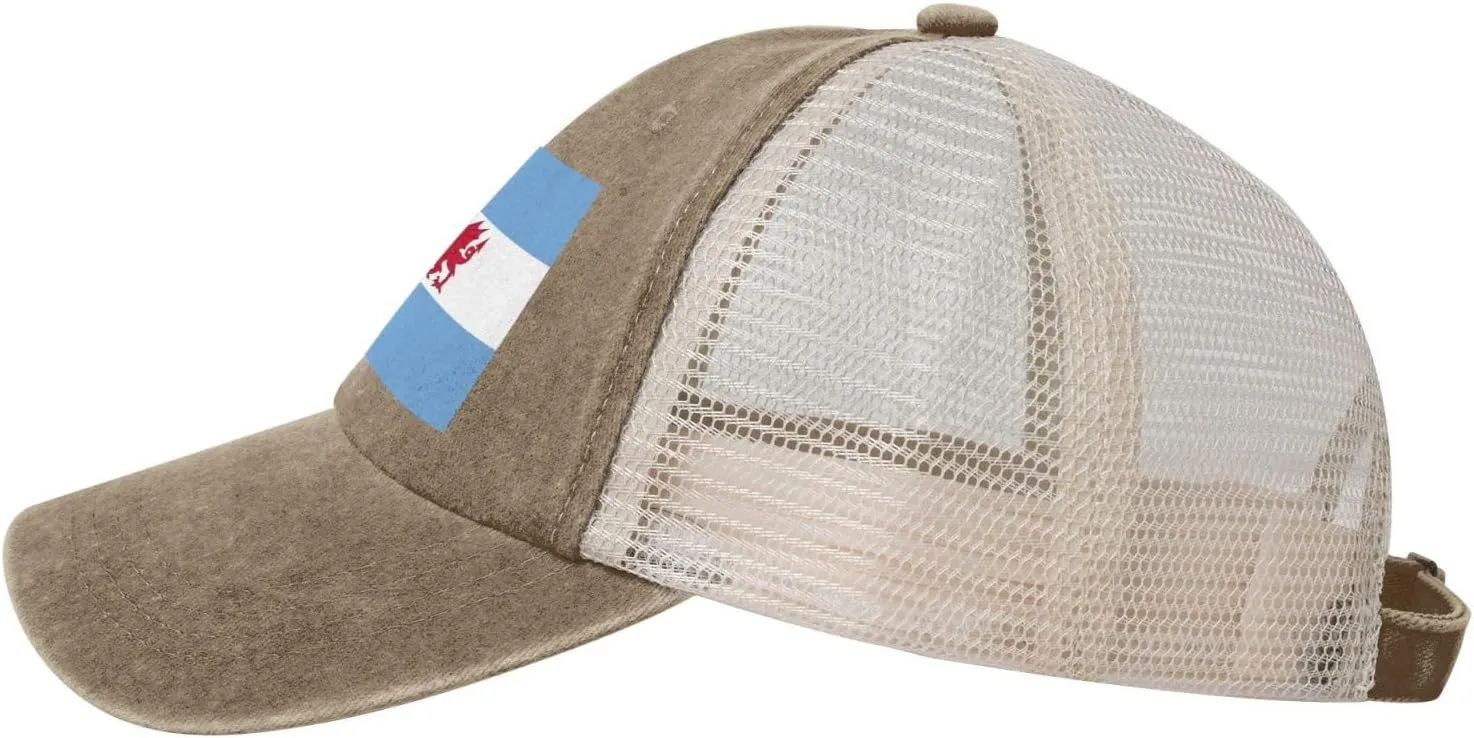 Flag of The Welsh Colony in Patagonia Baseball Cap Women Men Mesh Back Denim Hat Vintage Trucker Hats Dad Caps