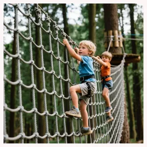Heavy Duty Climbing Cargo Net for Indoor and Outdoor Playground Net Cargo Rope Ladder Truck Trailer Fence Netting Stair Balcony Railing Protection Net,6.6FTX13.1FT