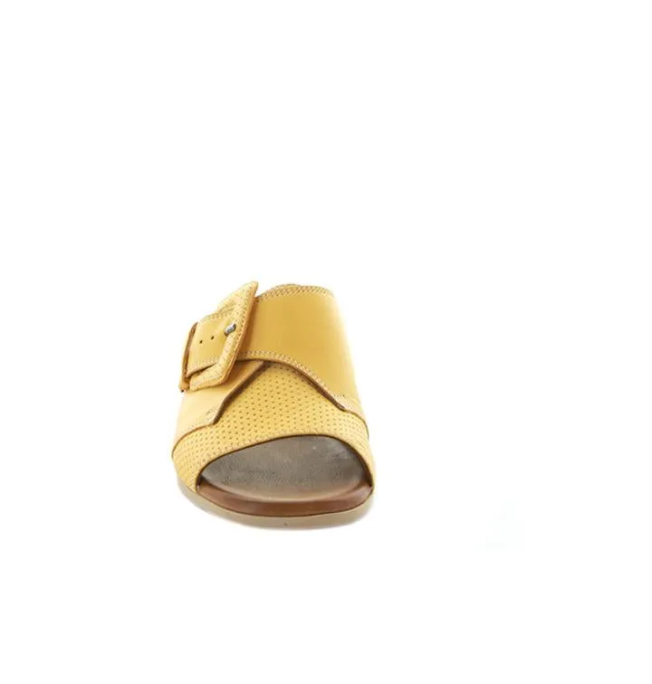 LE SANSA Durban Mustard