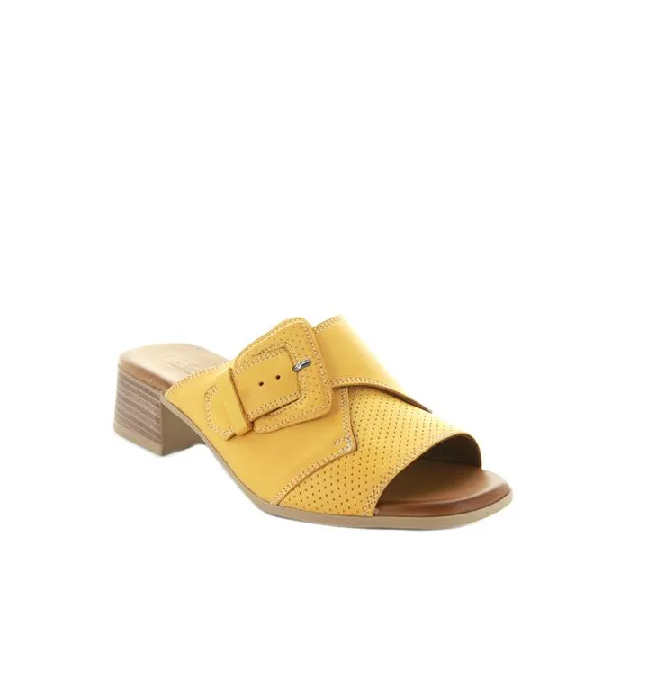 LE SANSA Durban Mustard