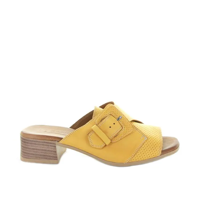 LE SANSA Durban Mustard