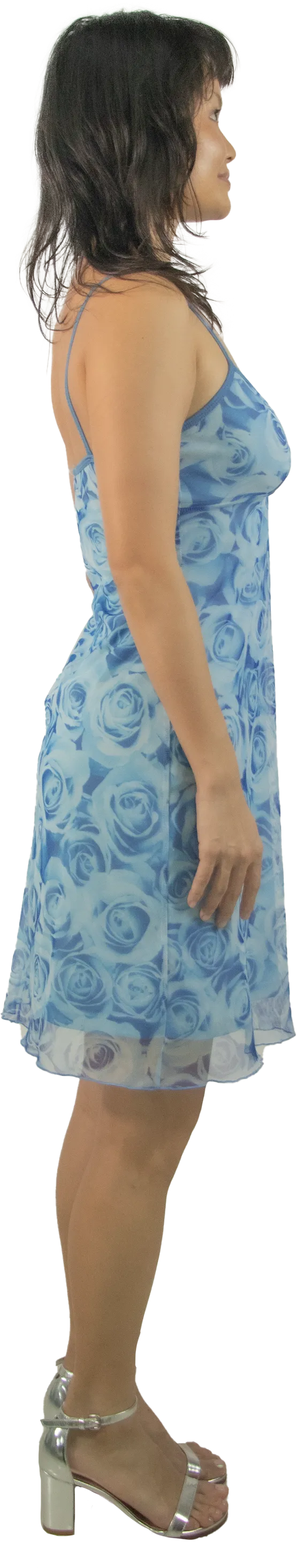 Tightrope Rose Mesh Dress