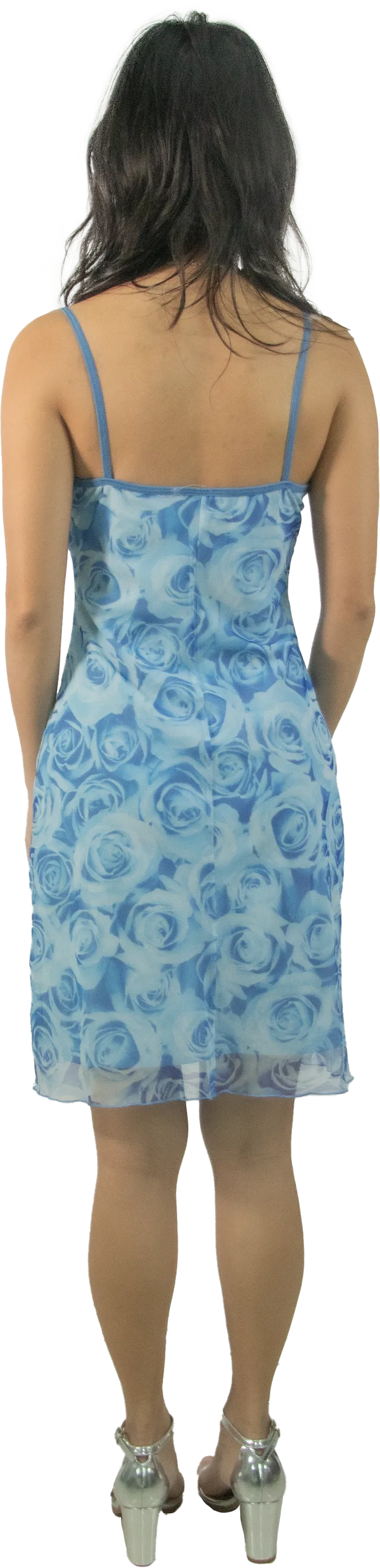 Tightrope Rose Mesh Dress